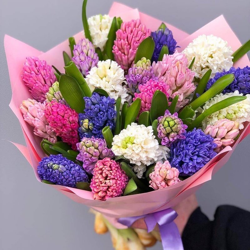 Гиацинты МИКС (набор 6 шт)