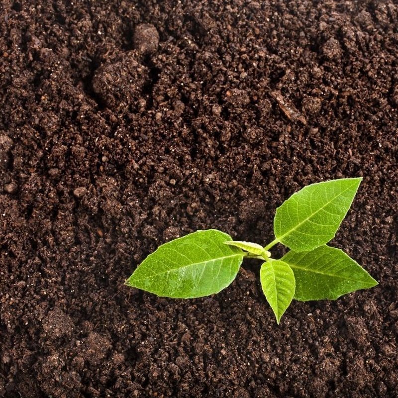 ГРУНТ УНИВЕРСАЛЬНЫЙ - изображение 1